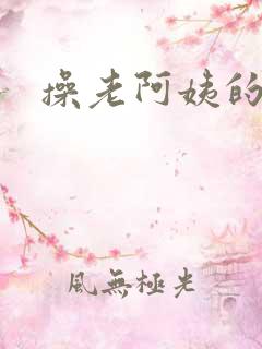 操老阿姨的小说