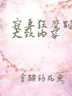 宠妻狂魔别太坏大致内容