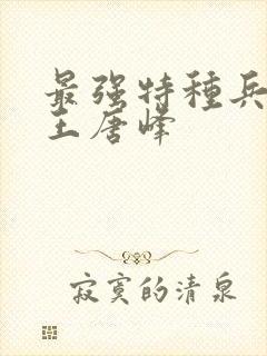 最强特种兵之龙王唐峰