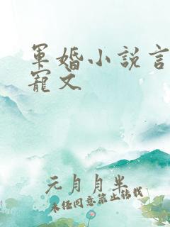 军婚小说言情甜宠文