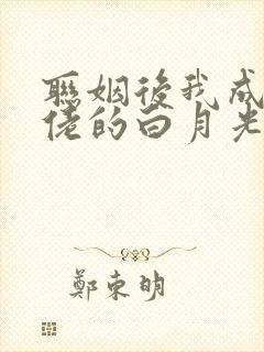联姻后我成了大佬的白月光