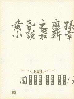 黄昏之恋孙雨菲小说最新章节阅读