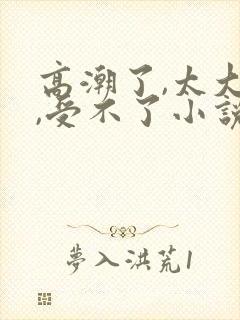 高潮了,太大了,受不了小说