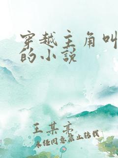 穿越主角叫林枫的小说