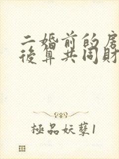 二婚前的房子婚后算共同财产吗