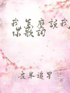 我怎么说我不爱你歌词