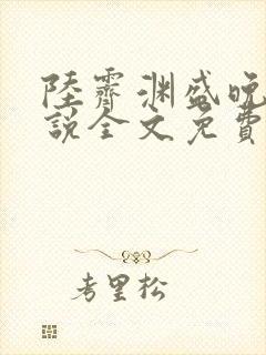 陆霁渊盛晚棠小说全文免费阅读
