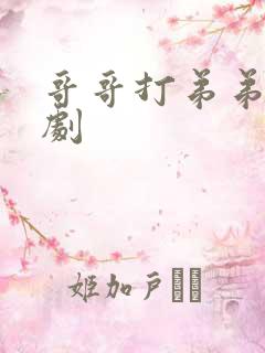 哥哥打弟弟电视剧