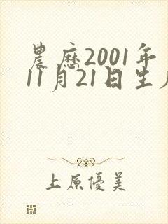 农历2001年11月21日生辰八字