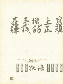 在手机上写小说赚钱的正规软件