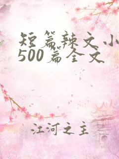 短篇辣文小说集500篇全文