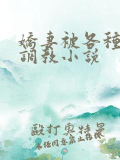 娇妻被各种刑具调教小说