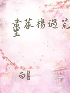 黄蓉杨过荒岛求生