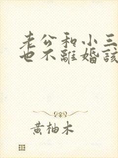 老公和小三不断也不离婚该怎么办