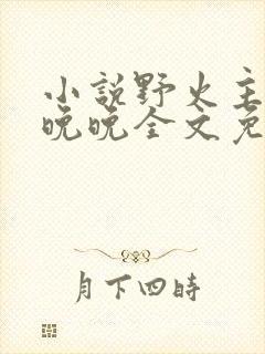 小说野火主角林晚晚全文免费阅读笔趣阁