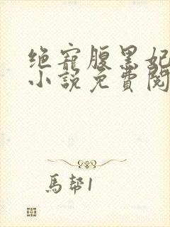 绝宠腹黑妃原著小说免费阅读