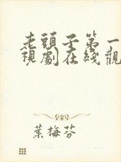 老头子第一季电视剧在线观看全集
