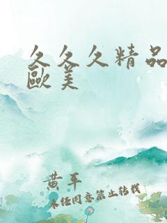 久久久精品亚洲欧美