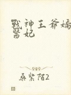 战神王爷娇宠小医妃