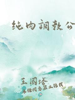 纯肉调教公车