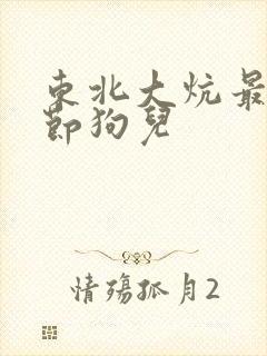 东北大炕最新章节狗儿