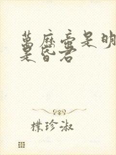 万历帝是明君还是昏君