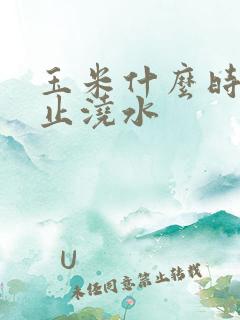 玉米什么时候停止浇水