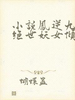小说凤逆九天:绝世妖女倾天下完整版
