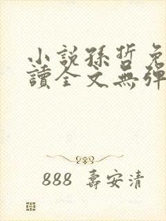 小说孙哲免费阅读全文无弹窗
