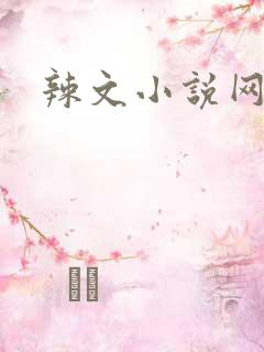 辣文小说网高h