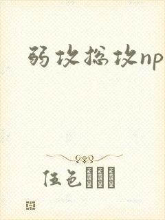 弱攻总攻np