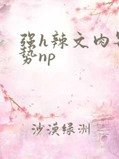 强h辣文肉各种势np