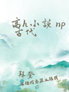 高h小说 np 古代