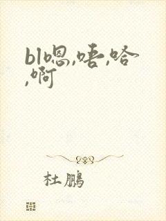 bl嗯,唔,哈,啊