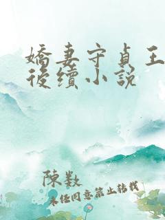 娇妻守贞王京贵后续小说