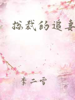 总裁的追妻之路
