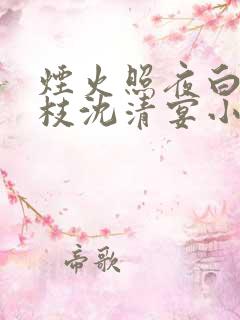 烟火照夜白温南枝沈清宴小说最新章节