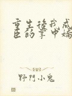 重生后我成了权臣的掌中娇怎么样