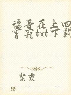 福晋在上四爷狠会宠txt下载