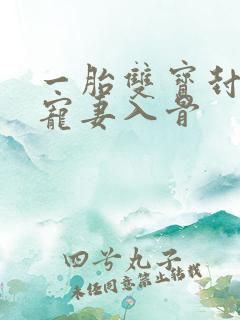 一胎双宝封先生宠妻入骨
