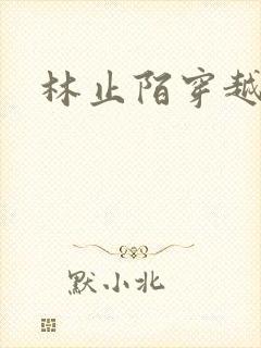 林止陌穿越小说