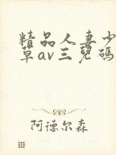 精品人妻少妇嫩草av三儿码专区