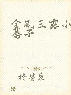 金风玉露小说白荞子