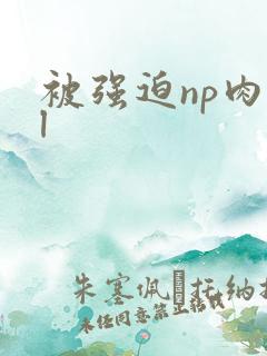 被强迫np肉bl