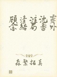 顾清淮沈霁禾乔念结局番外