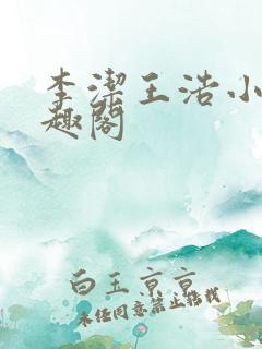 李洁王浩小说笔趣阁