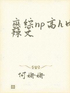 恋综np高h肉辣文