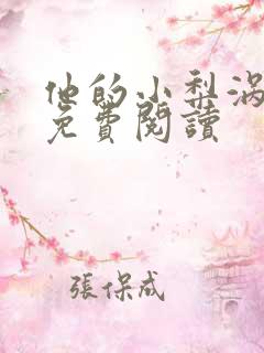 他的小梨涡小说免费阅读