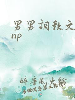 男男调教文双性np