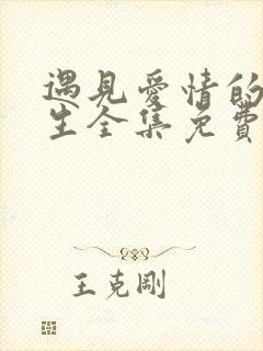 遇见爱情的利先生全集免费